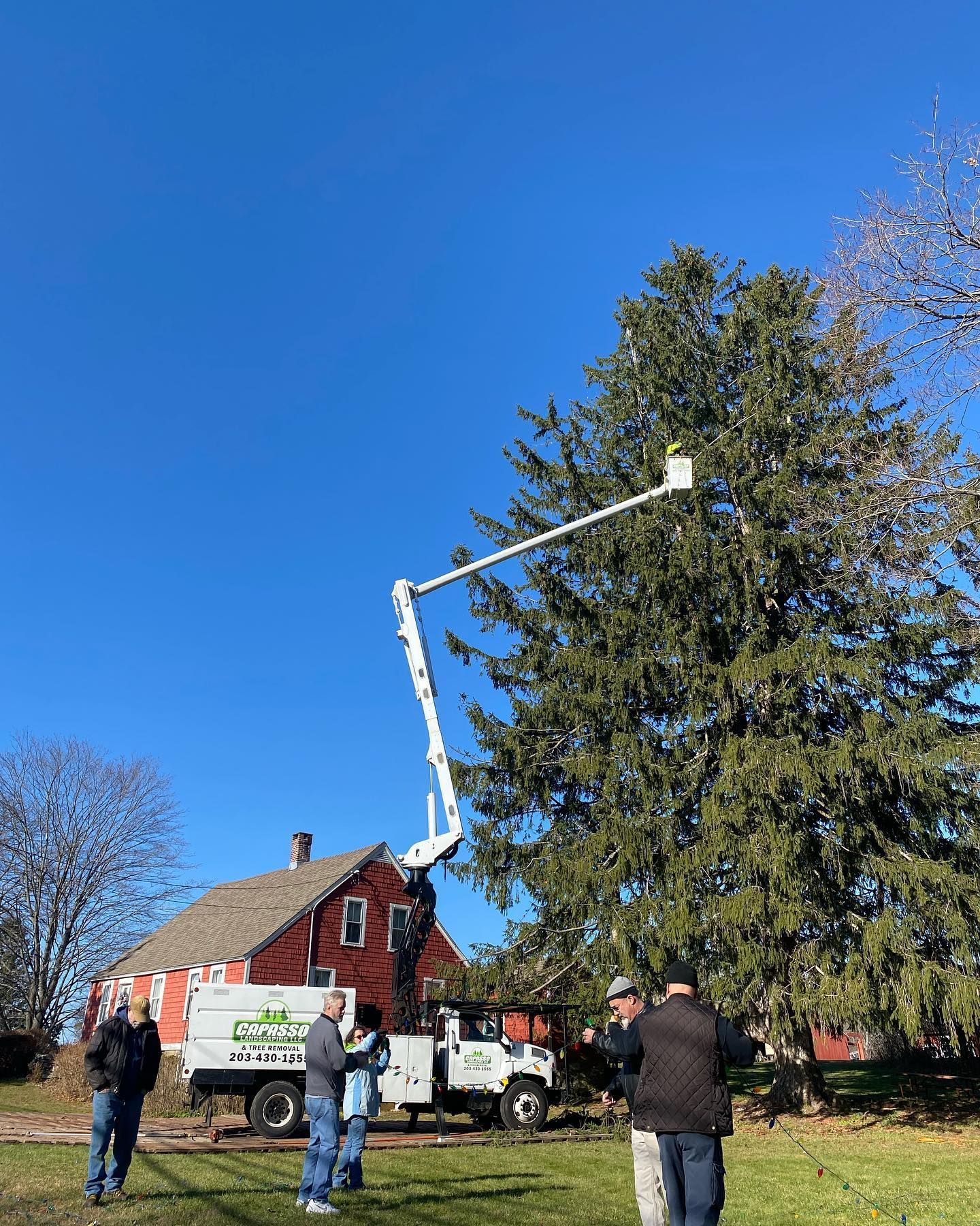 A group of people are standing in front of a large tree.