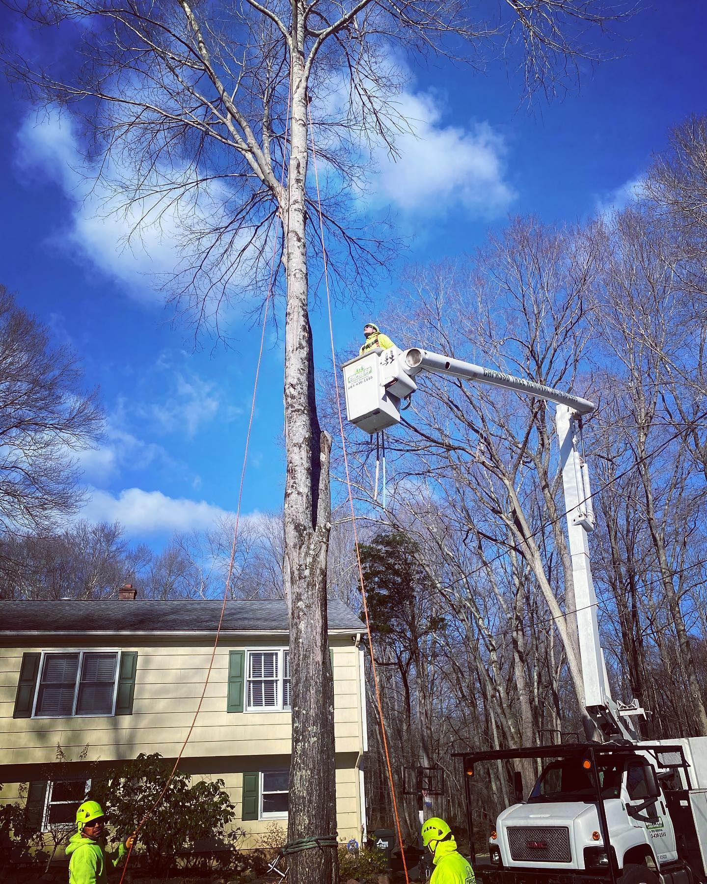 A man is cutting a tree with a crane in front of a house.