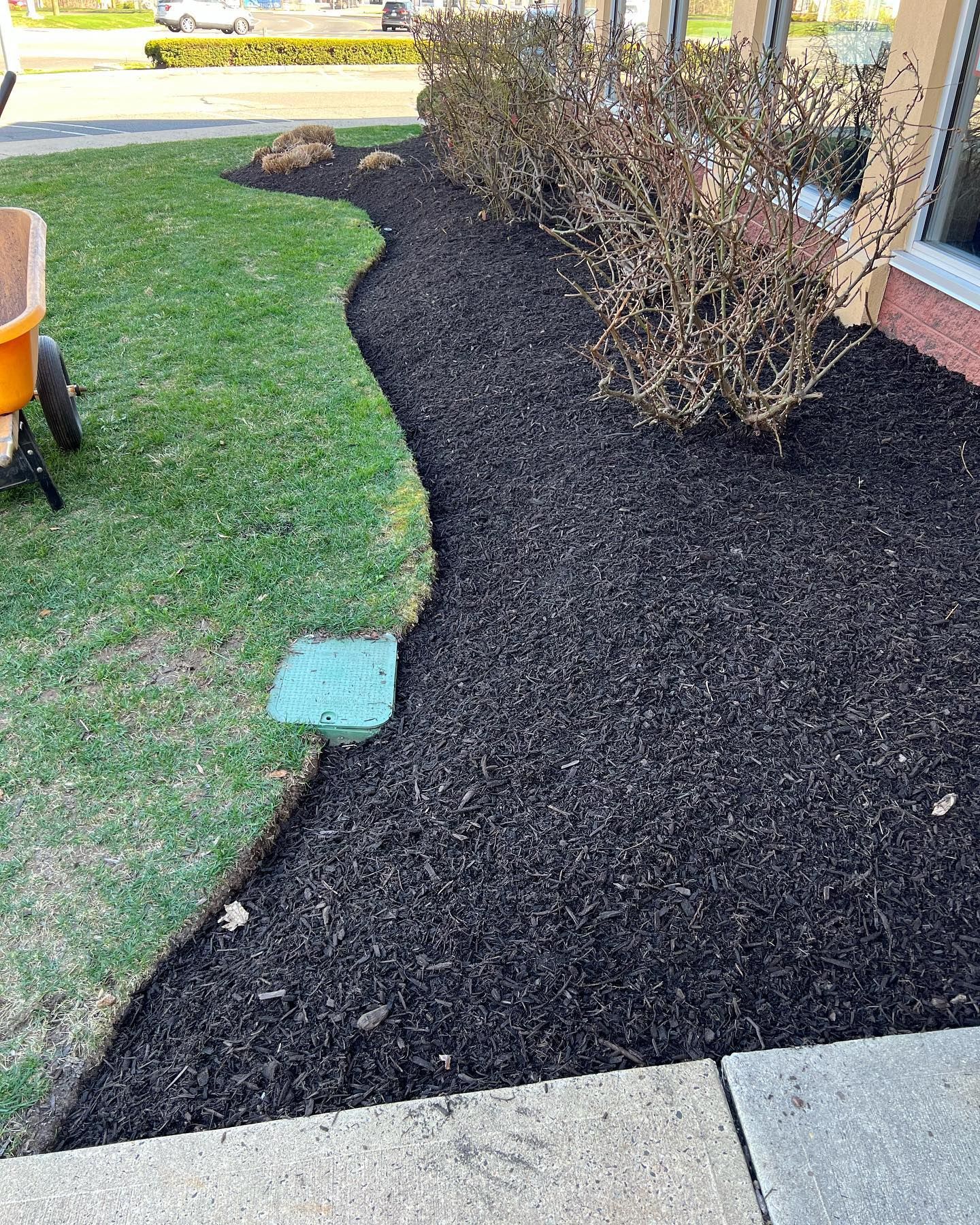 A parking lot with lots of trees and bushes and a lot of mulch.