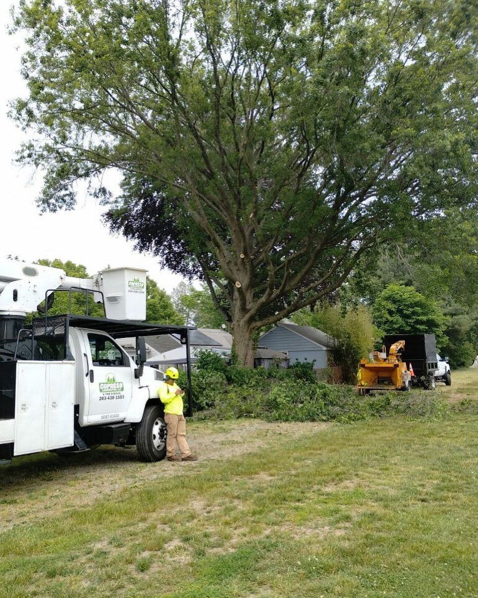 A white truck with a bucket on top of it is parked in a grassy field.