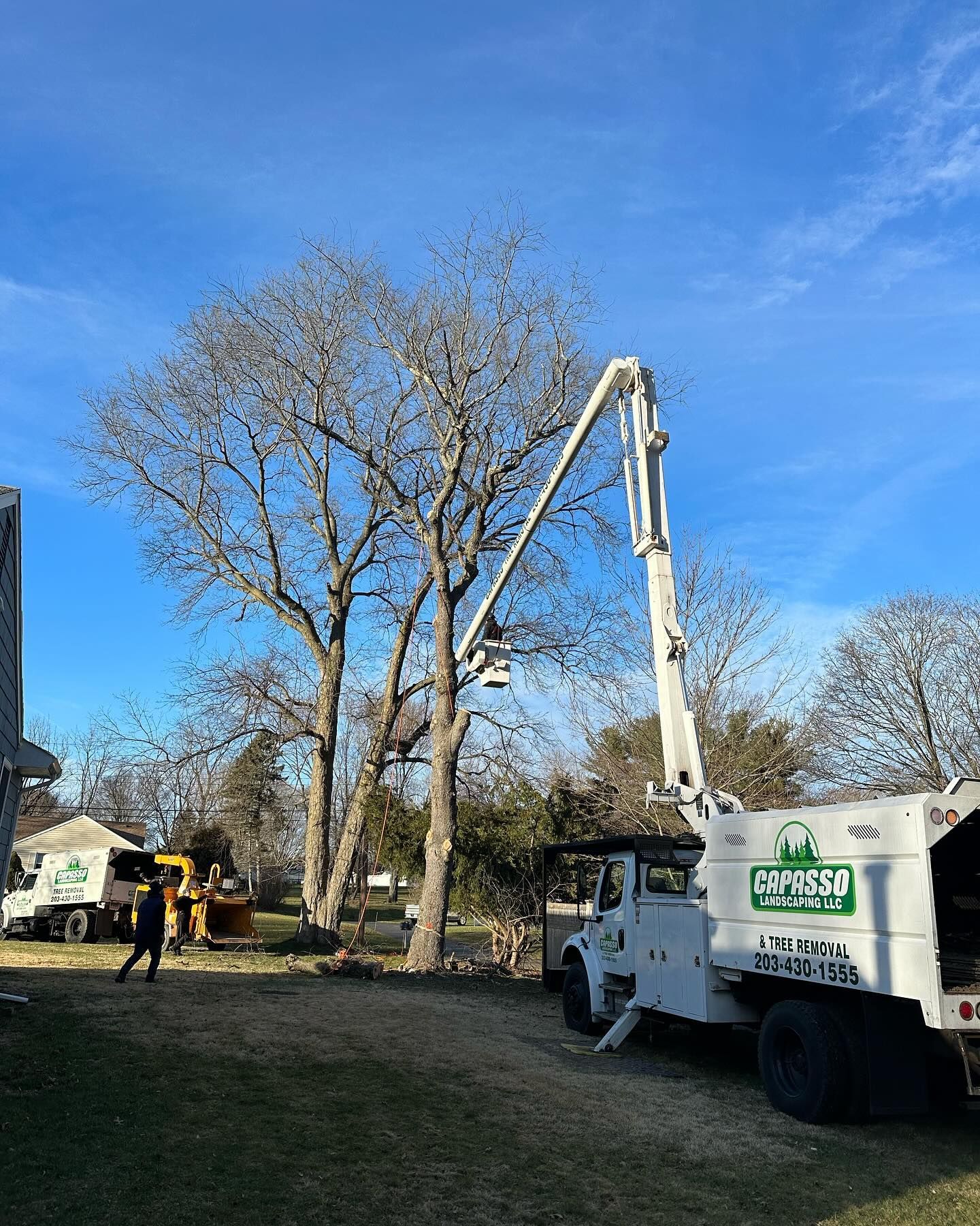 A white truck with a crane attached to it is cutting a tree.