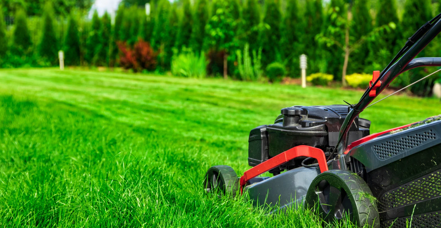 7 Essential Lawn Care Tips for a Healthy, Lush Lawn All Year Round