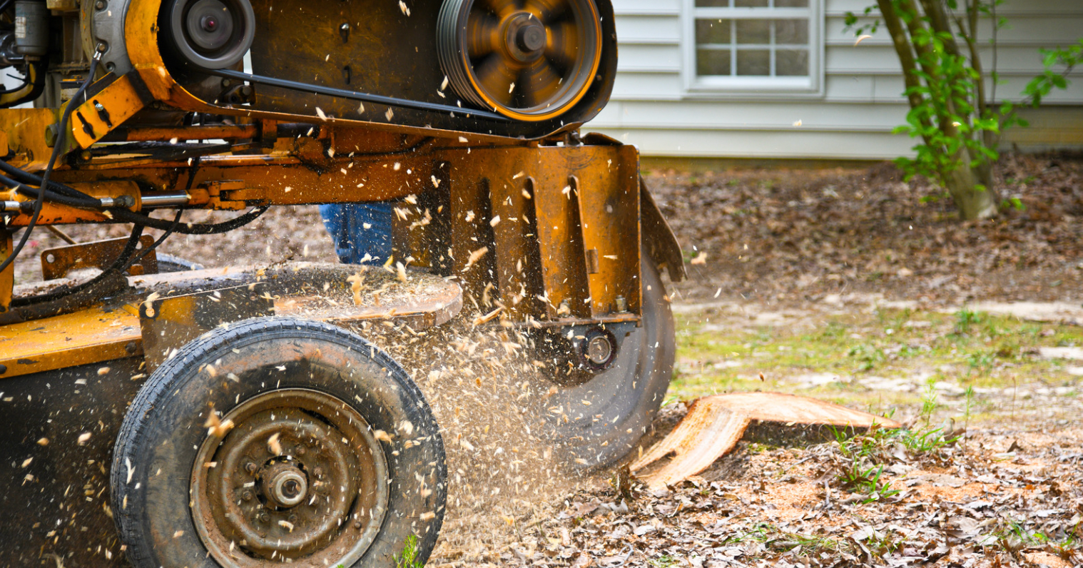 Why Stump Grinding is Essential After Tree Removal