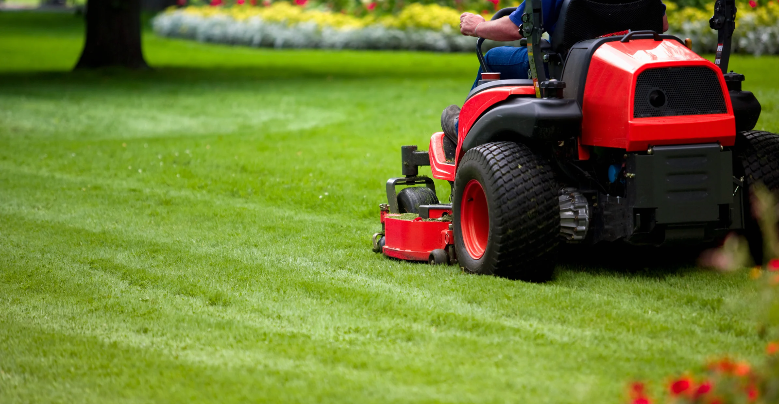 How Regular Lawn Mowing Can Improve Your Lawn’s Health