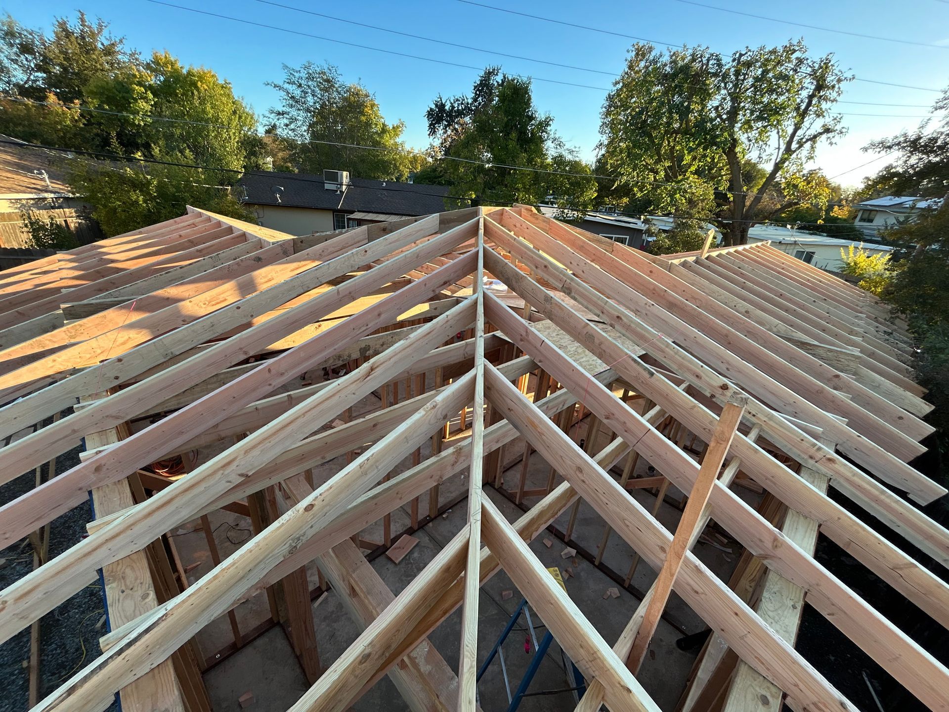 Wooden roof trusses framed on a house under construction, with trees and sky in the background