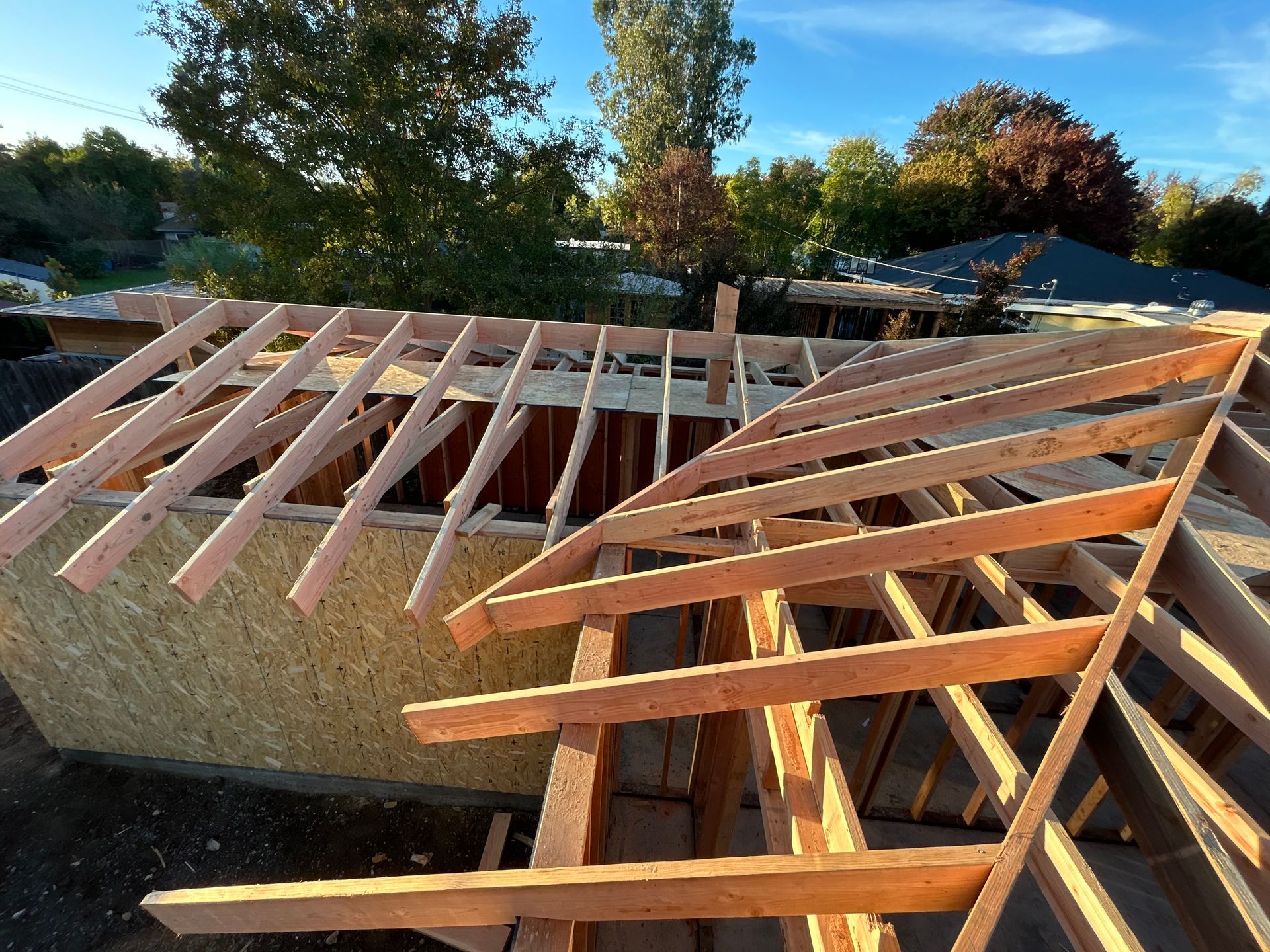 Wooden roof trusses being built on a house frame outdoors under a clear blue sky