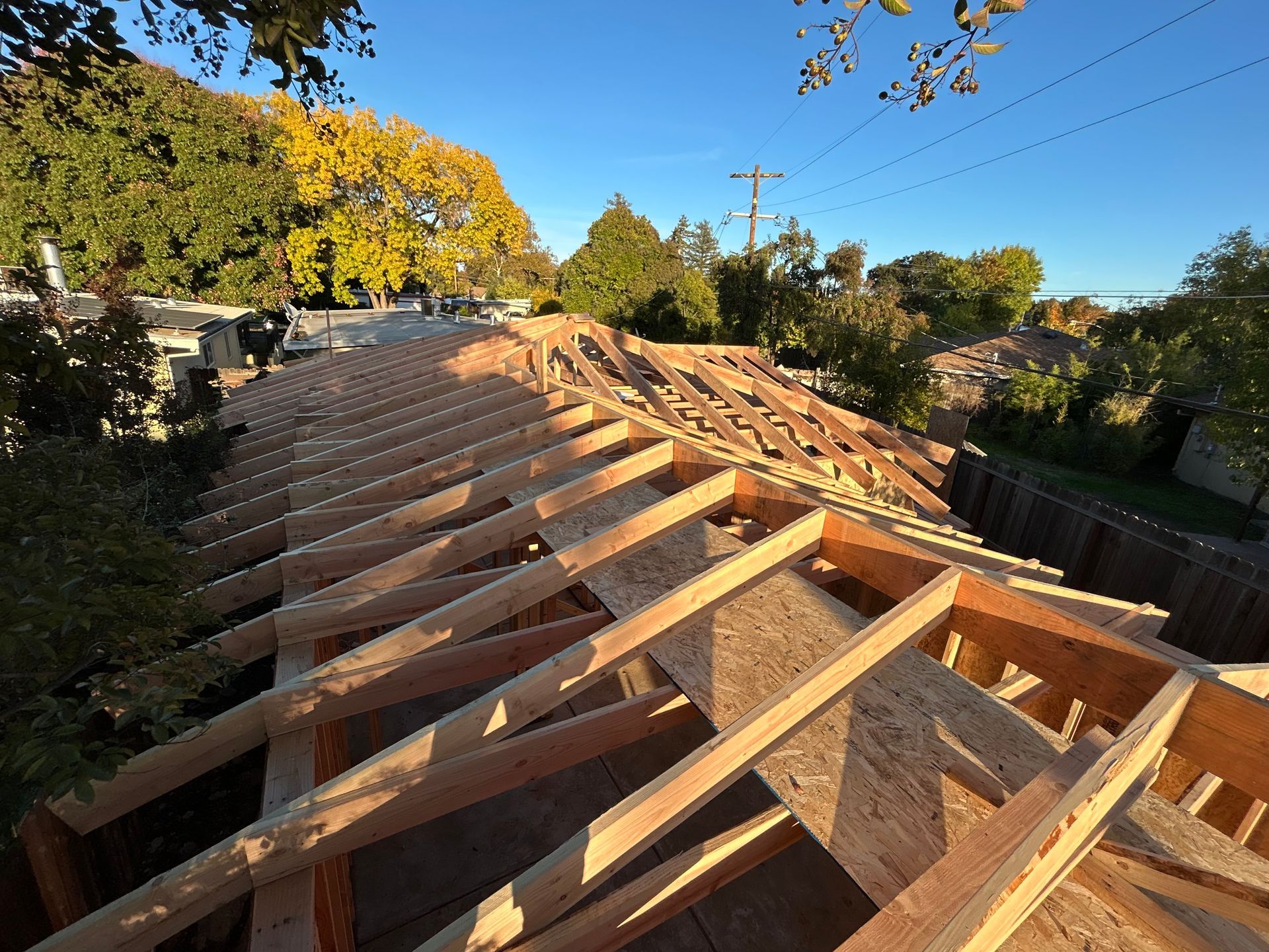 Wooden roof framing under construction on a sunny residential street, with trees and houses nearby