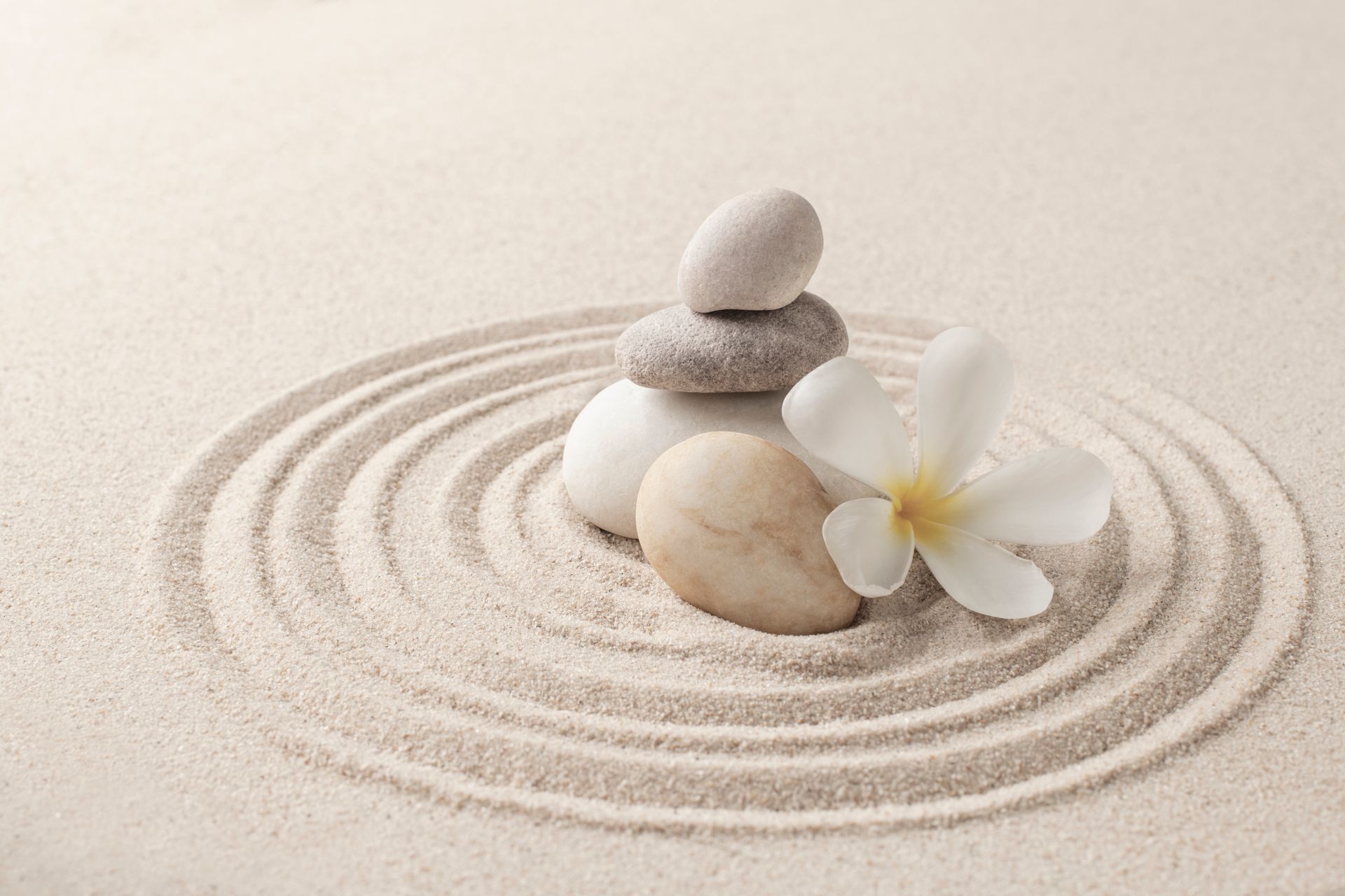 Stack of stones, white flower, and concentric circles in sand.