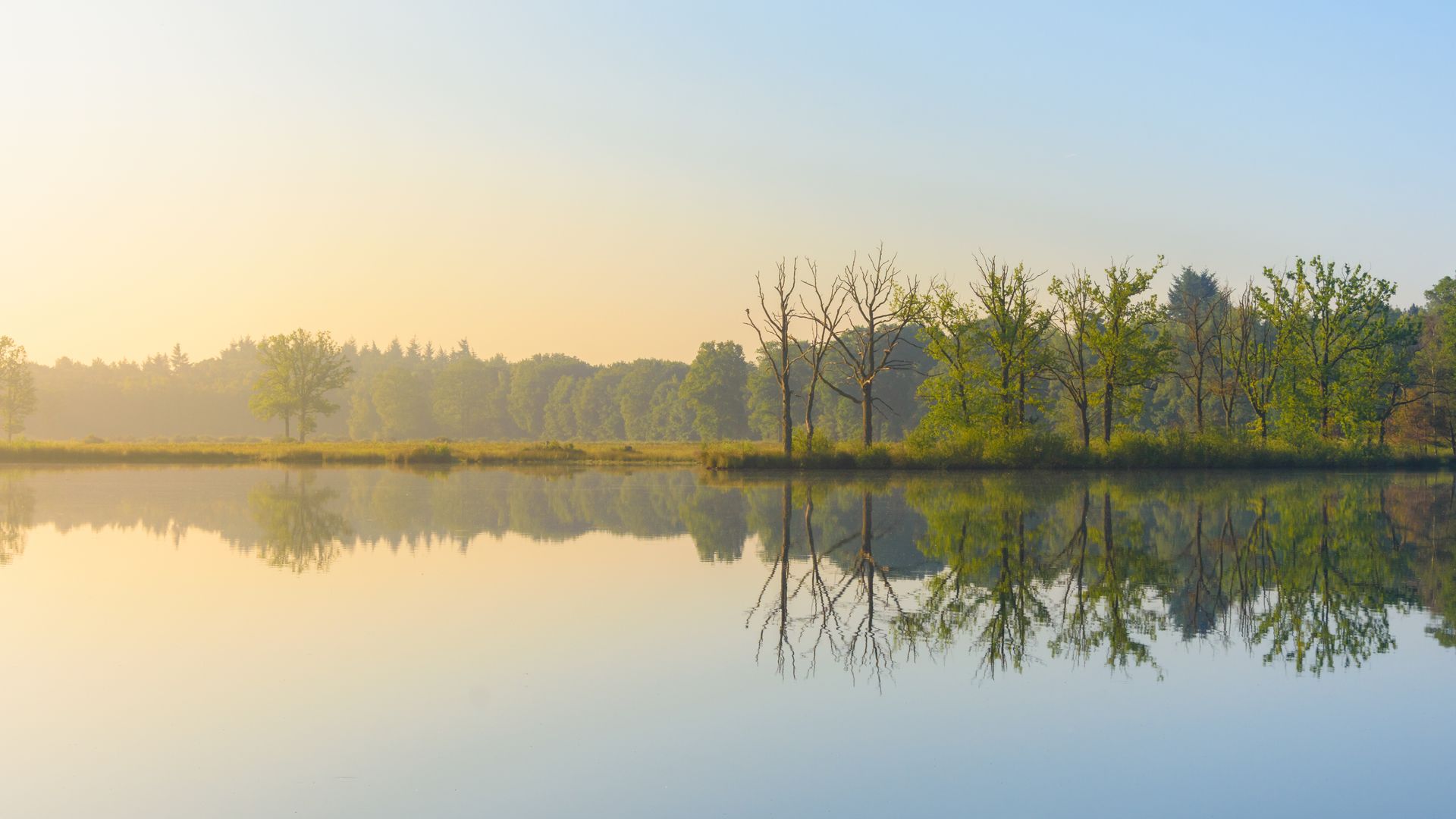 Calm lake reflecting trees under a gradient sky of gold and blue.