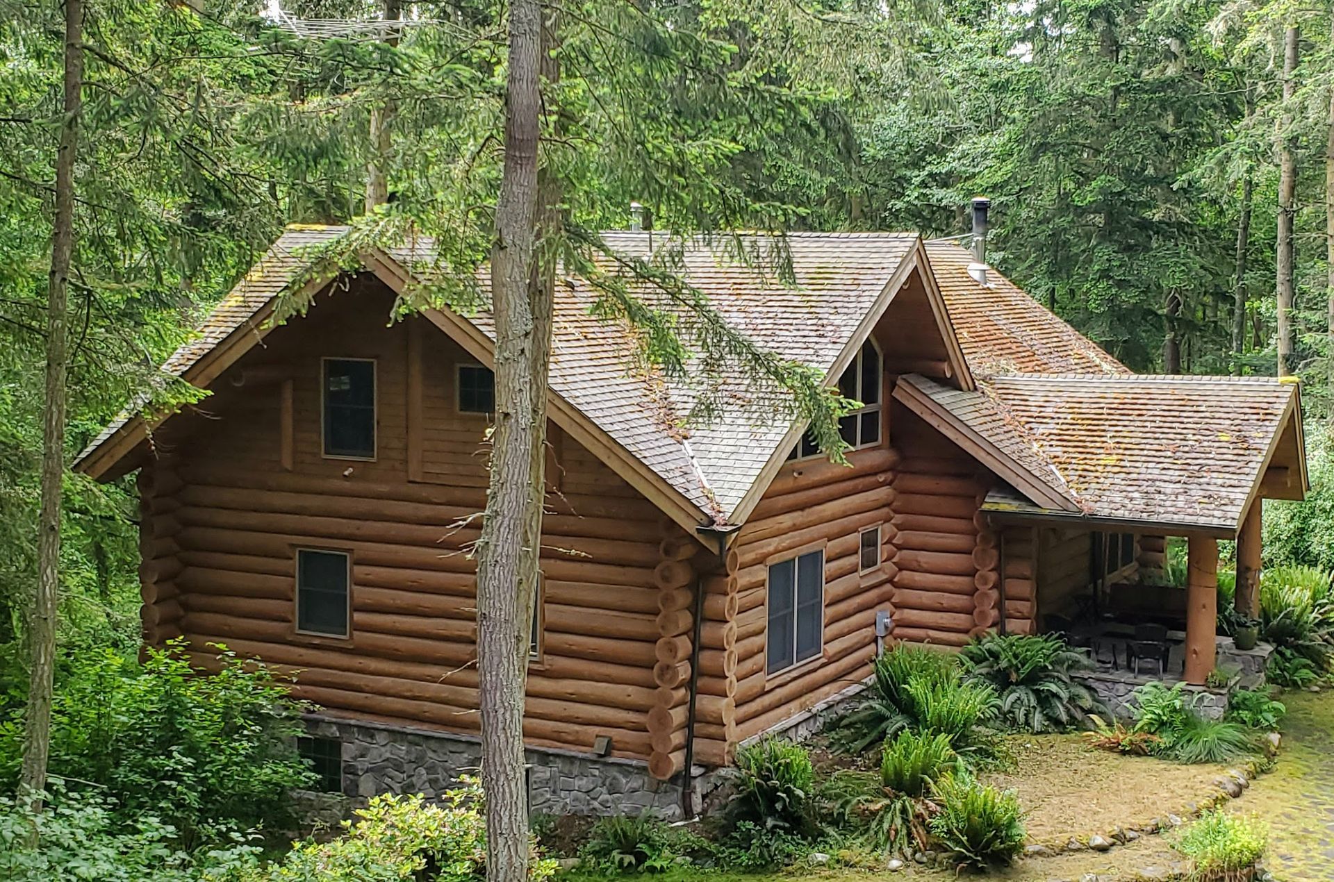 Log cabin nestled among lush green trees, with a mossy roof and a small porch.