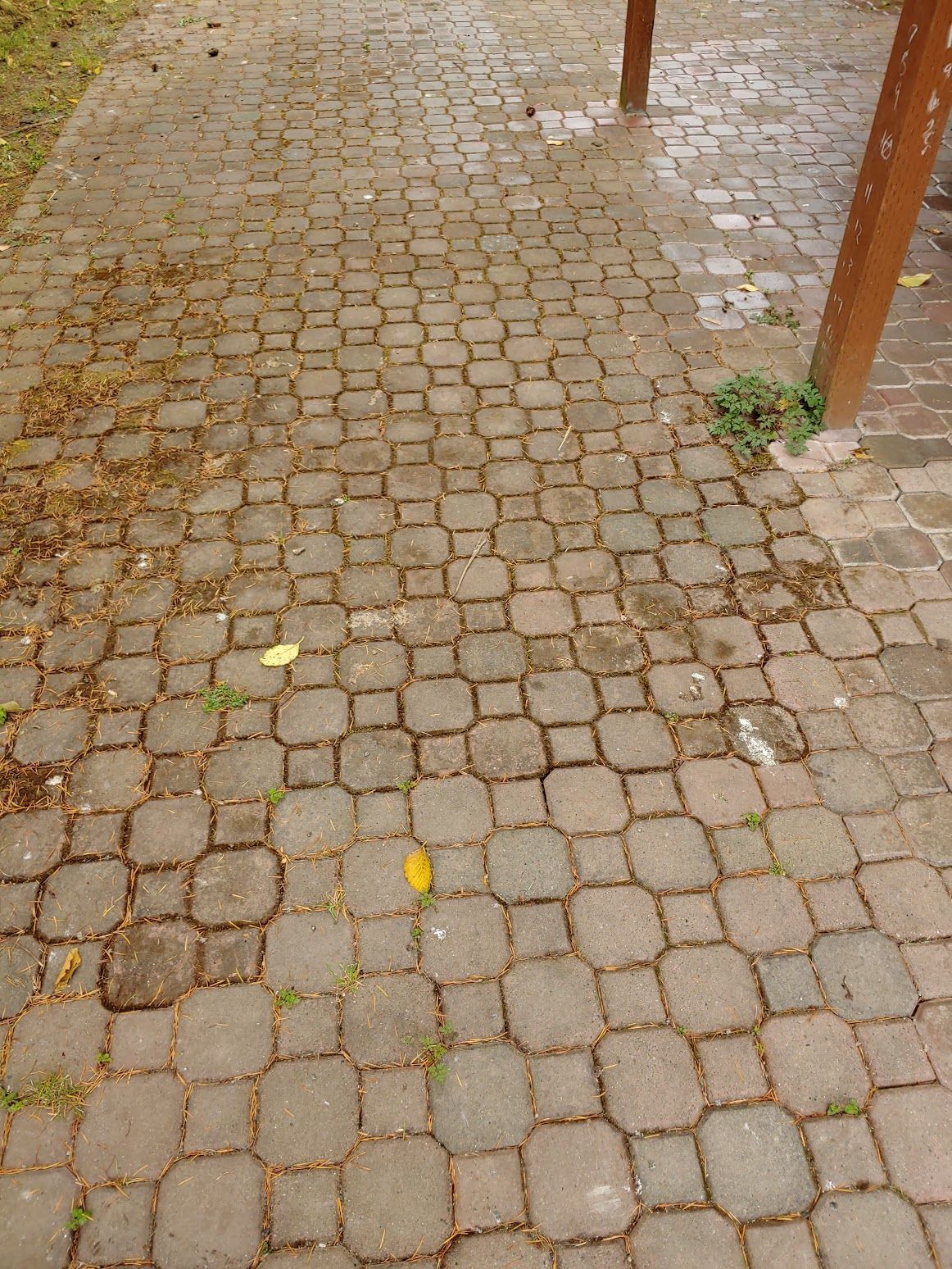 Stone walkway with square pavers, fallen leaves, and wooden posts.