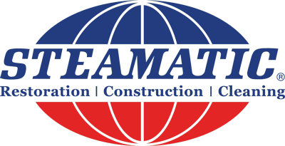 Primary Electric