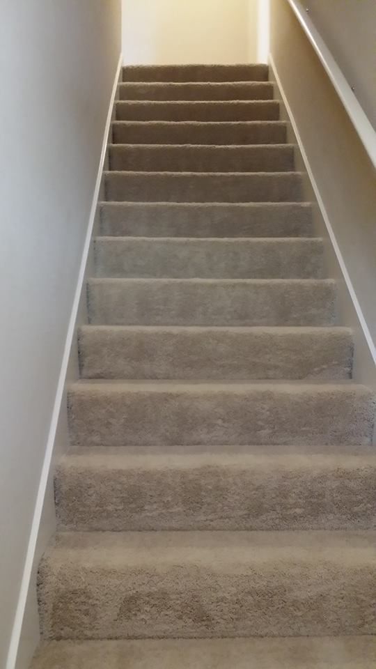 A set of carpeted stairs leading up to the second floor of a house.