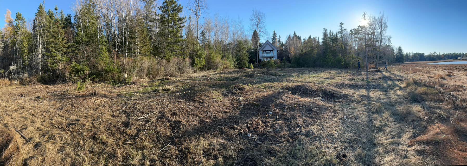 A wide, open field of brown grass with a house and trees in the background on a bright, sunny day.