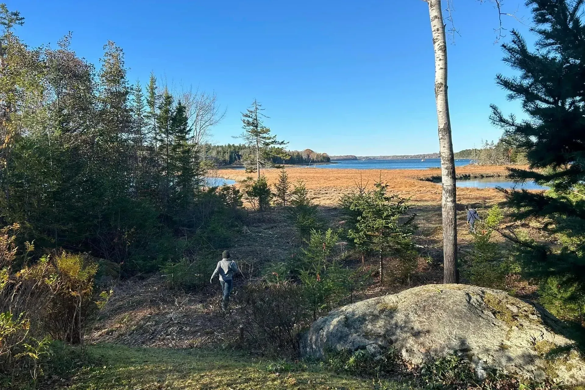 Person walking towards a lake, surrounded by trees and brush on a sunny day.