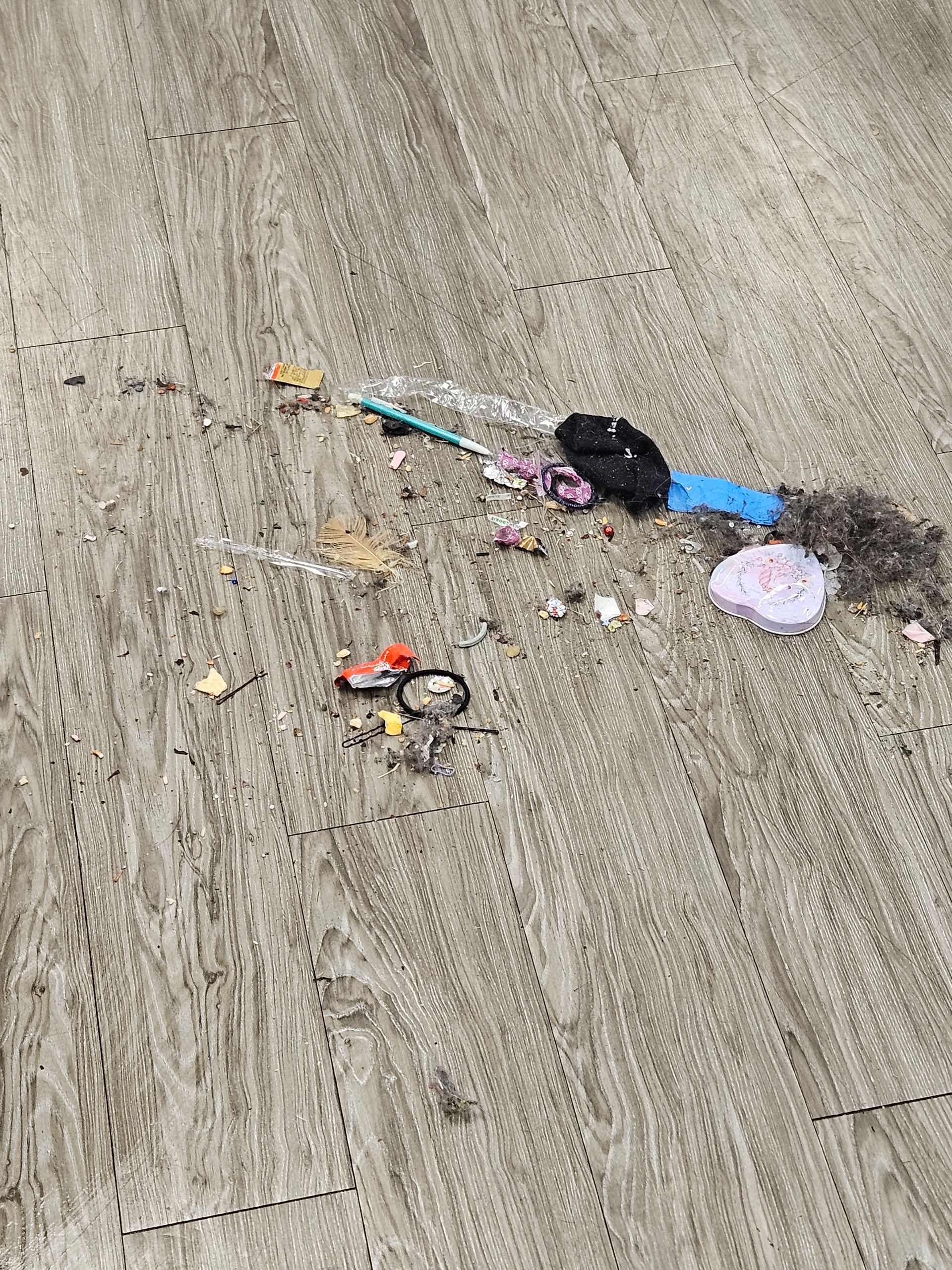 A wooden floor with a lot of trash on it.