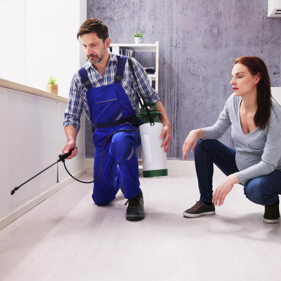 tecnicos certificados de fumigación