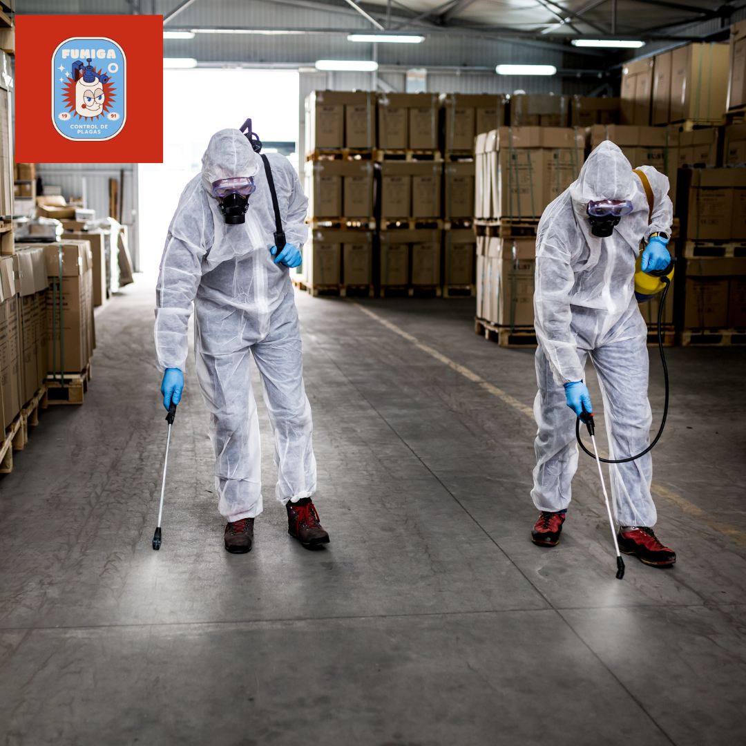 Por que usar químicos biodegradables en una fumigación.