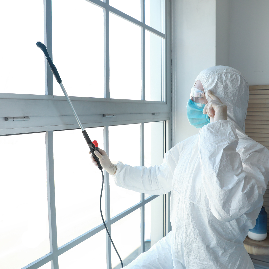 Fumigacion de Bodegas