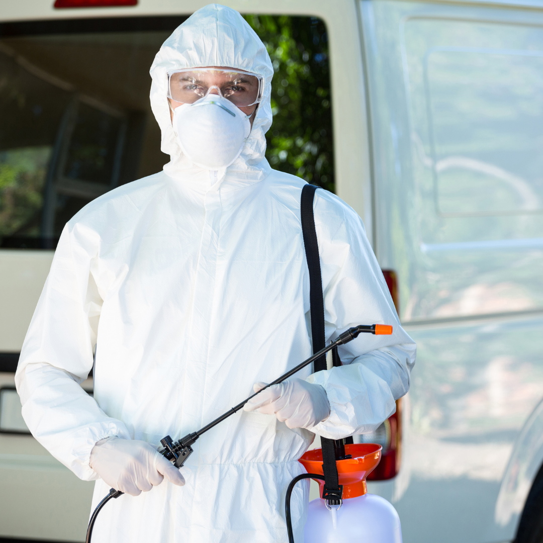 Agenda tu servicio de fumigacion nosotros Fumigación y control de plagas