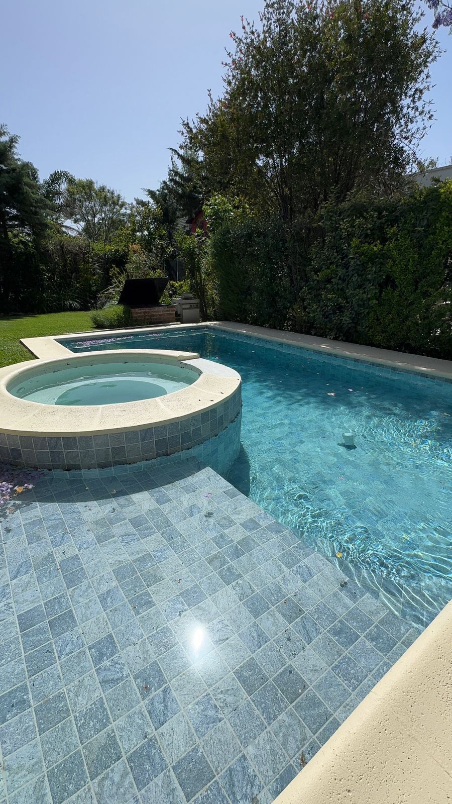 Piscina con jacuzzi y vegetación circundante.
