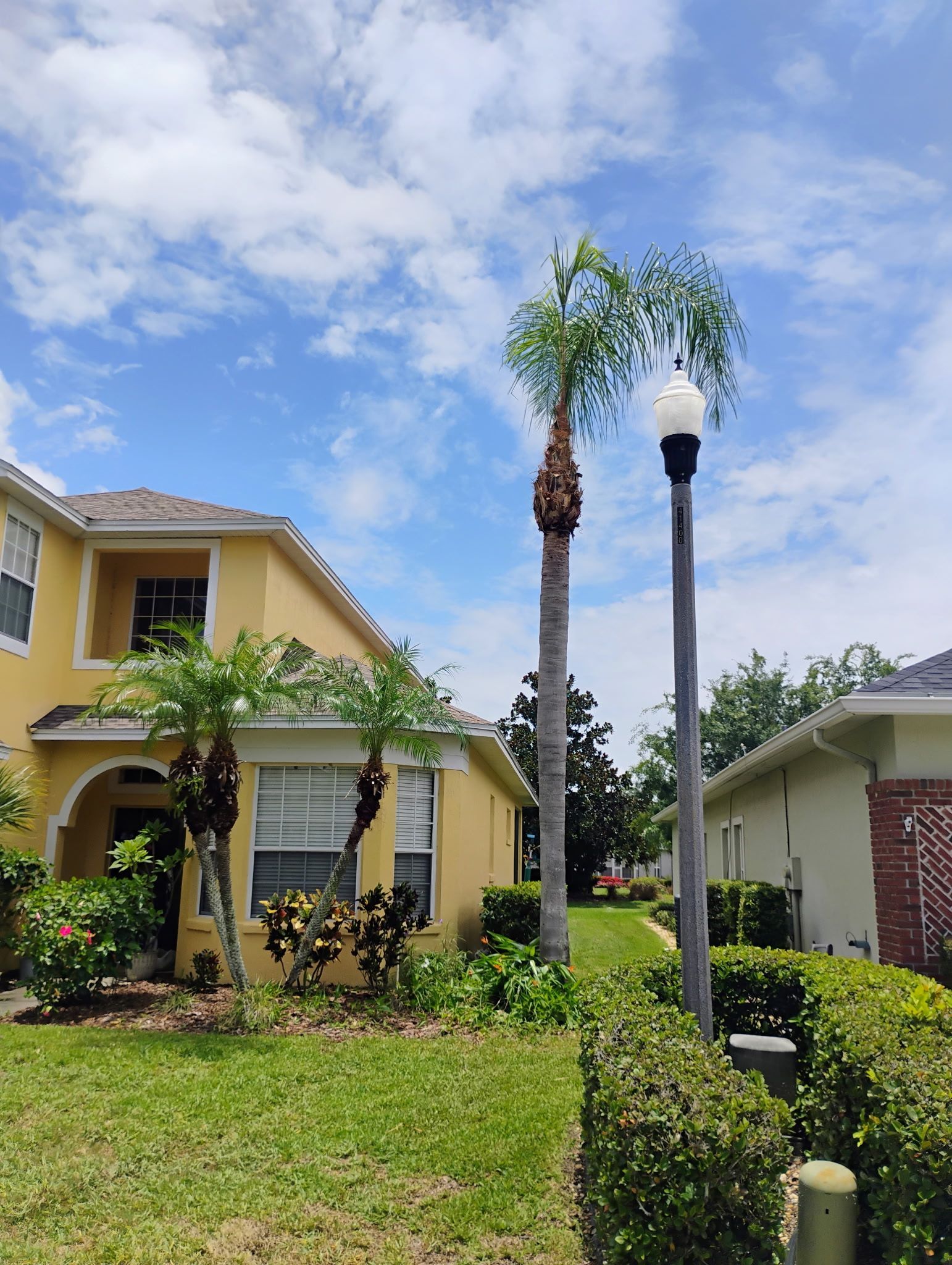 Yellow house and palm trees against a blue sky with a street lamp. Green grass and shrubs in front.