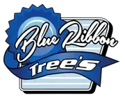 Blue Ribbon Trees logo in blue, white, and black. Features a blue rosette with ribbon and the words "Blue Ribbon Trees".