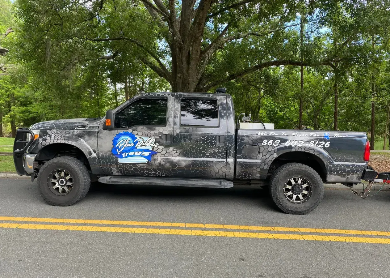 Dark pickup truck covered in a substance parked on the side of a road with a phone number and business name on the side.