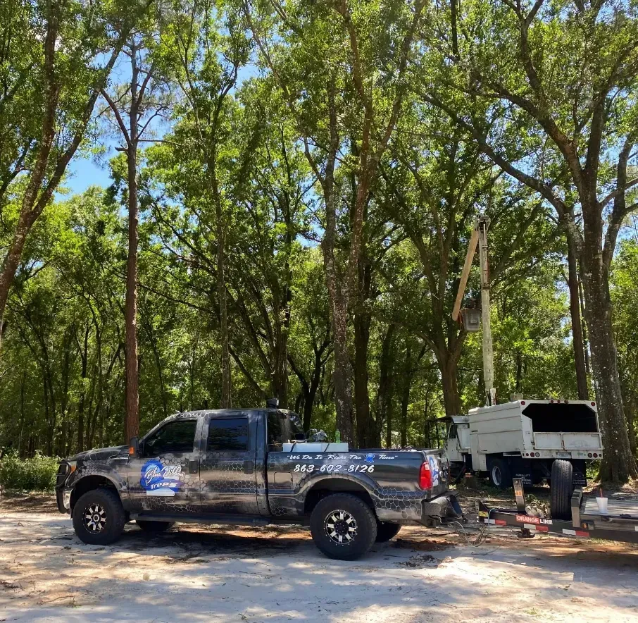 A truck and trailer with equipment sit in a wooded area, likely for tree service.