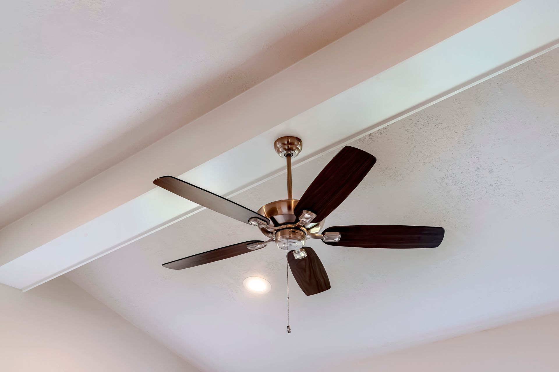 Ceiling fan with dark brown blades, chrome fixture, white ceiling.