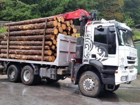 trasporto legno