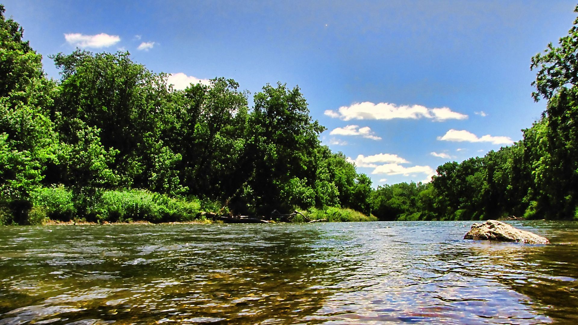 River flowing through lush green trees under a partly cloudy blue sky.