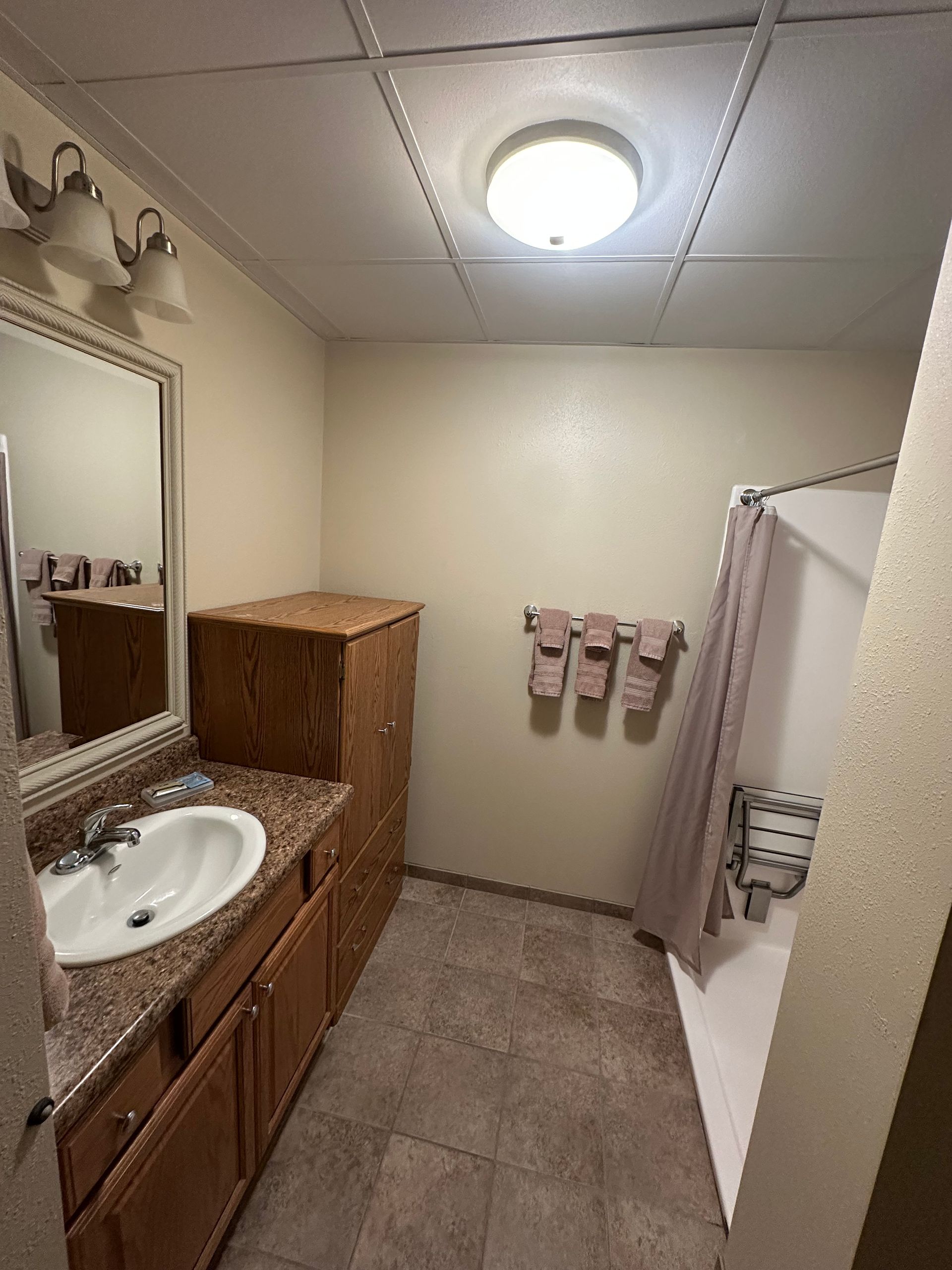 Bathroom with a sink, shower, and cabinets. Beige walls, brown cabinets, and a white ceiling.