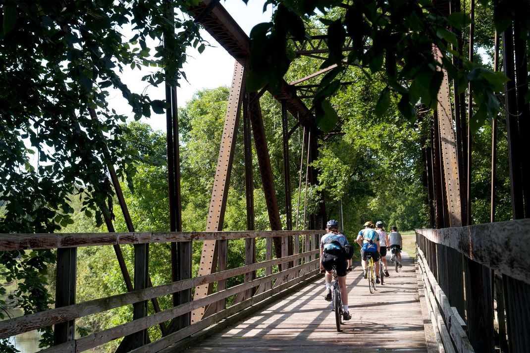 Cyclists on a wooden bridge with a steel frame, surrounded by lush green trees.