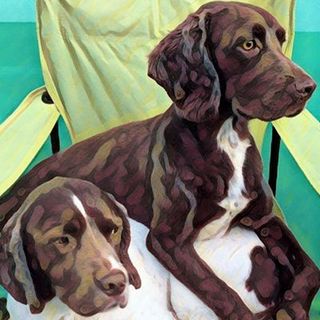 two dogs in a portrait