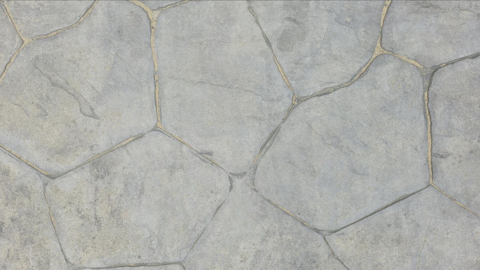 Gray concrete paving stones with irregular shapes, outlined by thin lines.