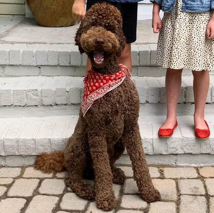 A brown dog wearing a red bandana is sitting on a brick sidewalk next to two children.