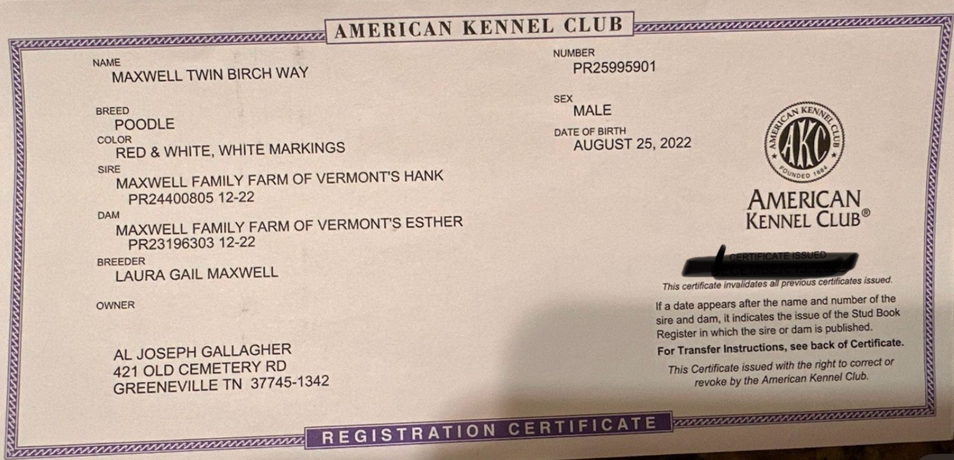 A close up of an american kennel club certificate