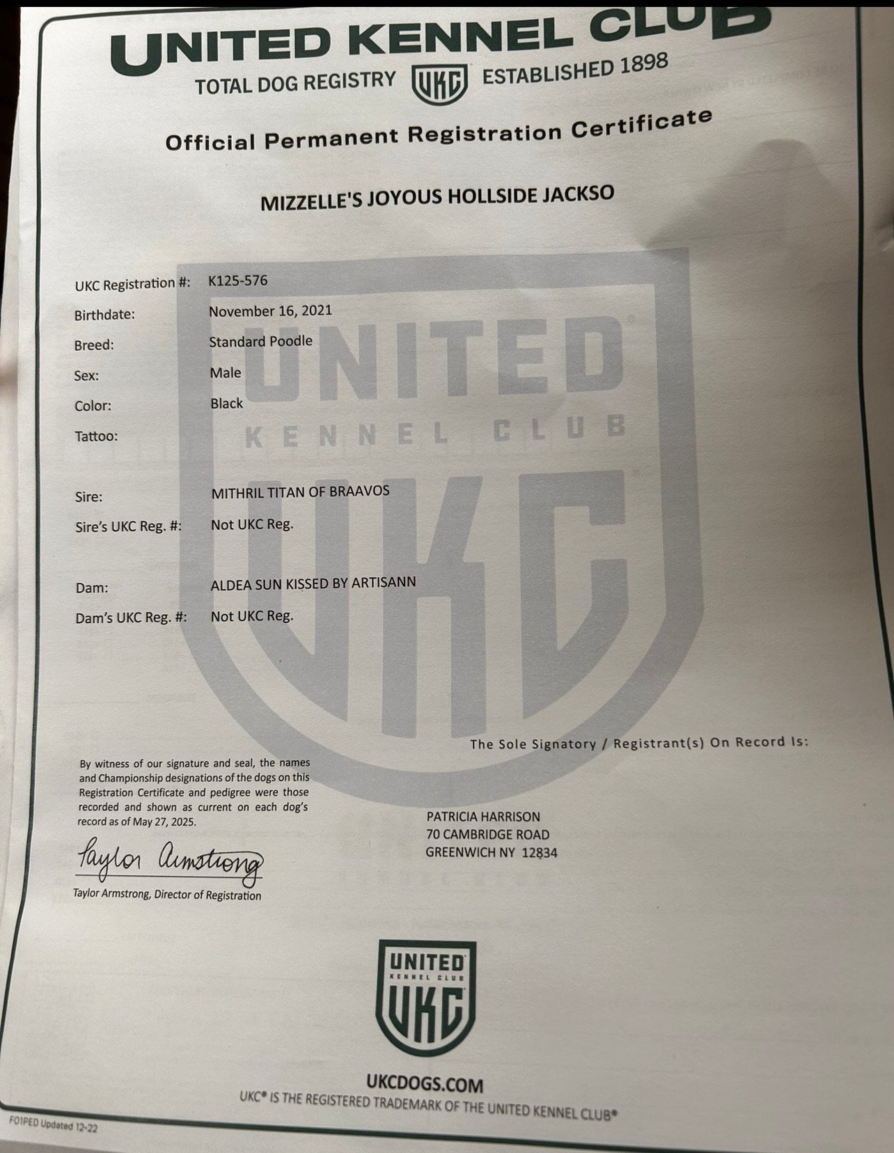 A close up of an american kennel club certificate