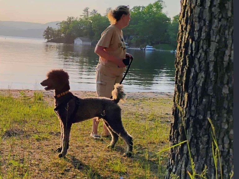 A standard poodle standing in the grass on a leash with a woman facing the water.