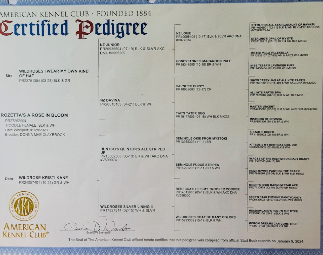 A certified pedigree showing a Standard Poodle's results from the american kennel club