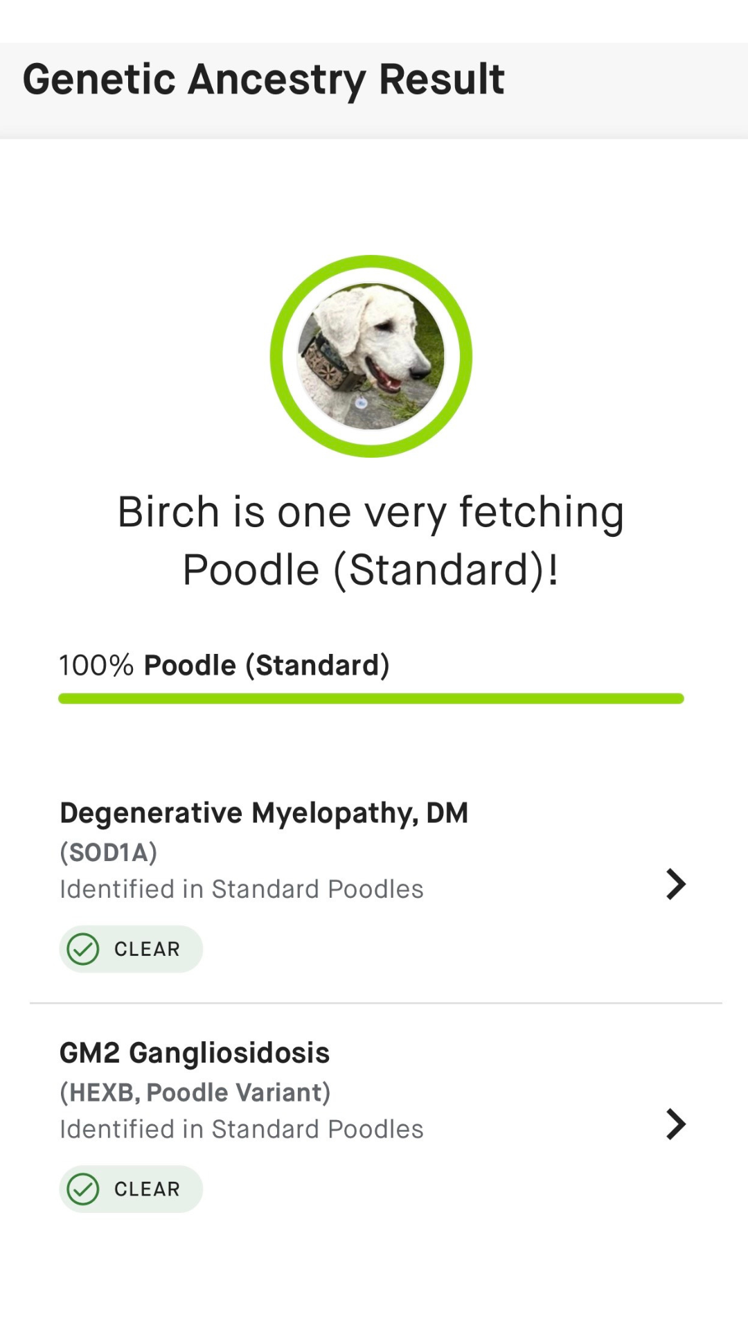 Coco genetic testing results