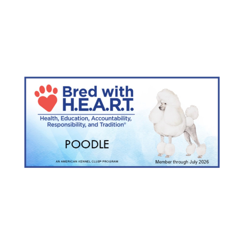 A white poodle is on a sign that says breed with heart
