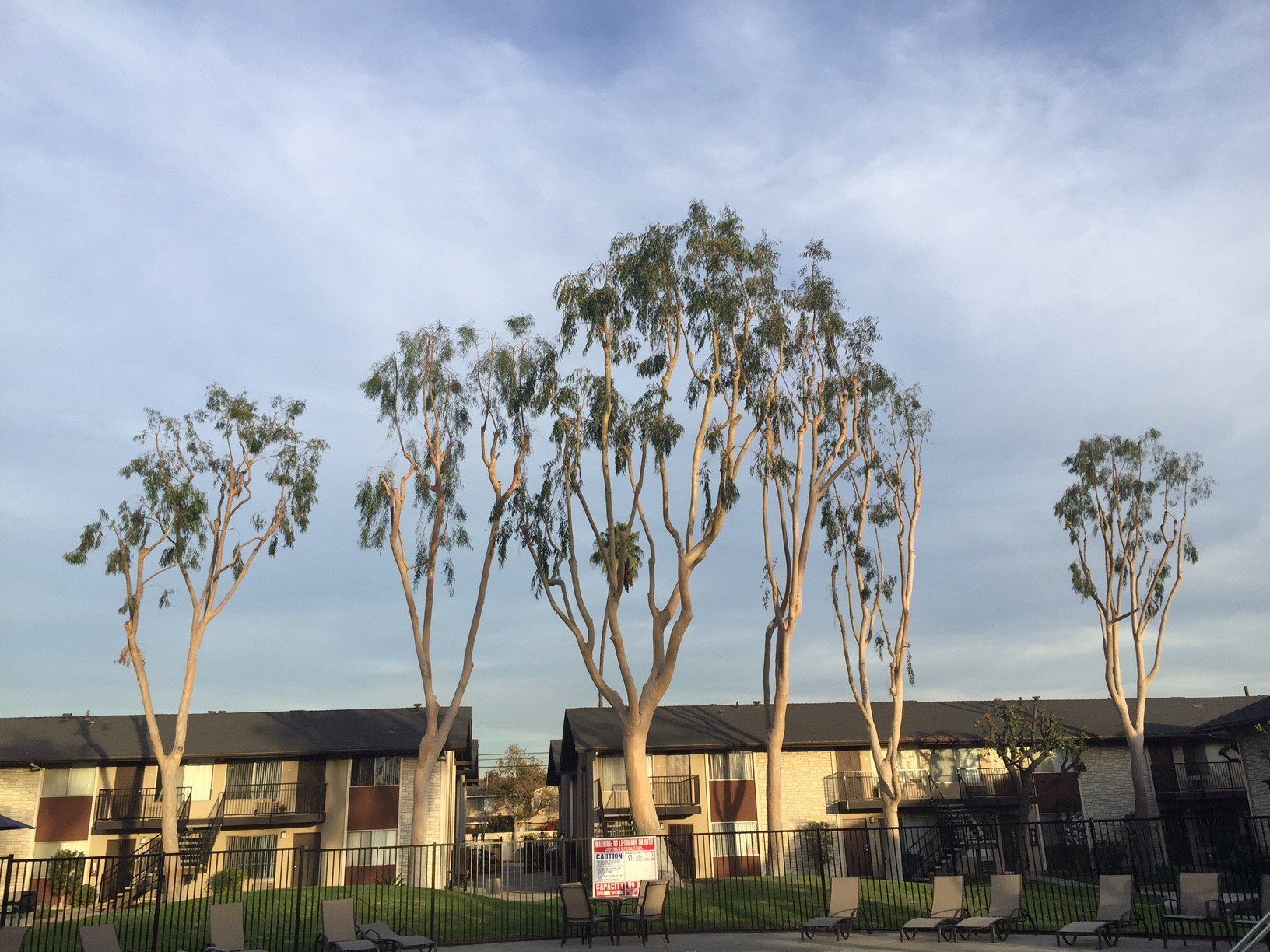 Exterior | Peppertree Apartments