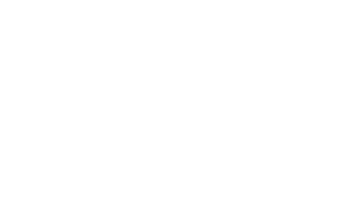 Edil ponteggi logo negativo