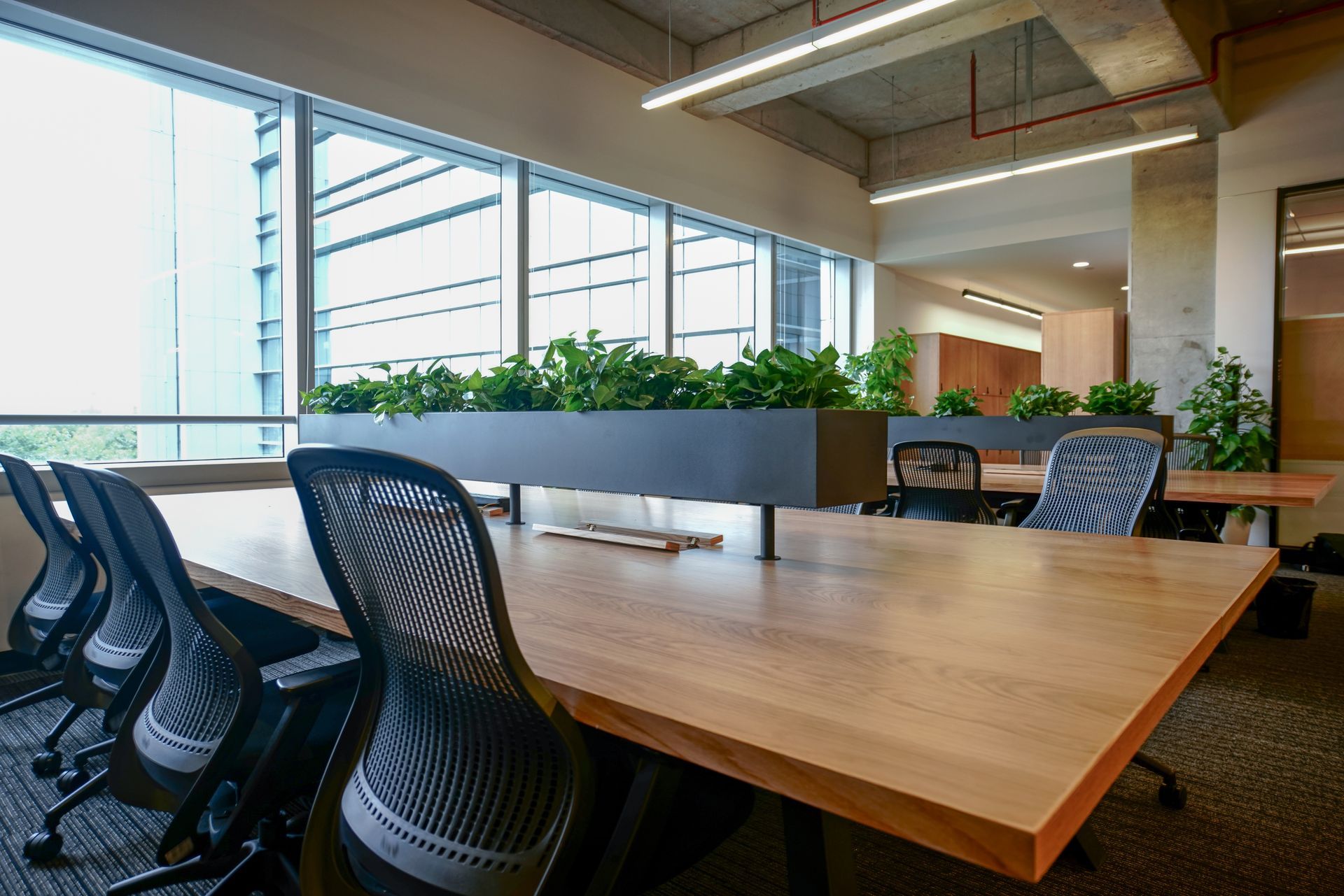 A modern office workspace with a long, light wood communal desk, ergonomic chairs, and a central planter with green plants.
