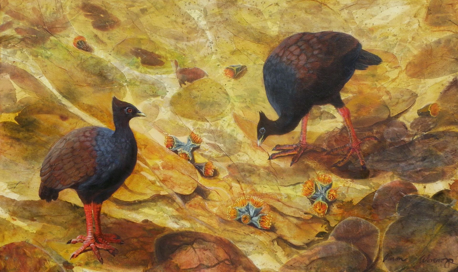 Bushchooks