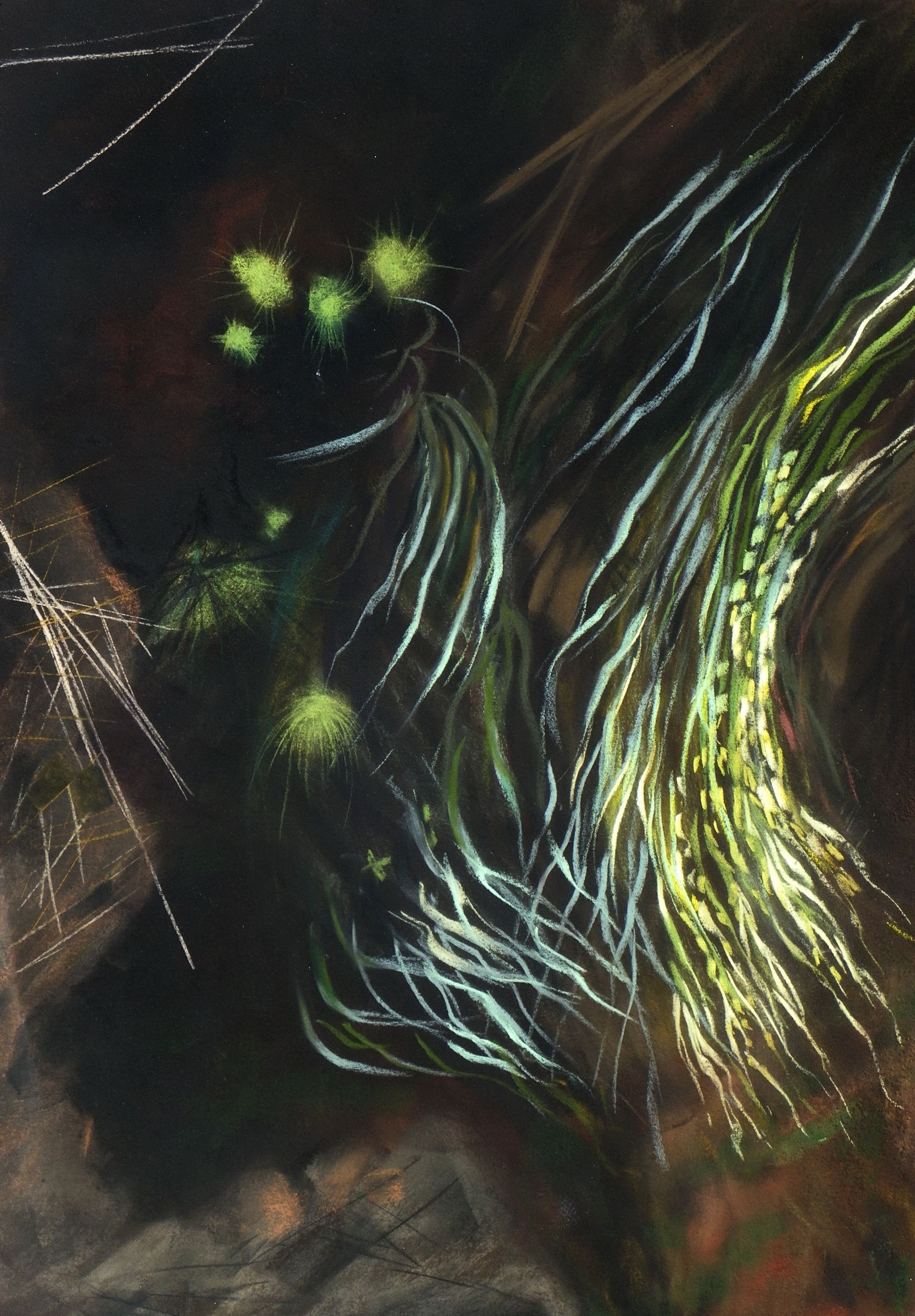 Rivulet plants