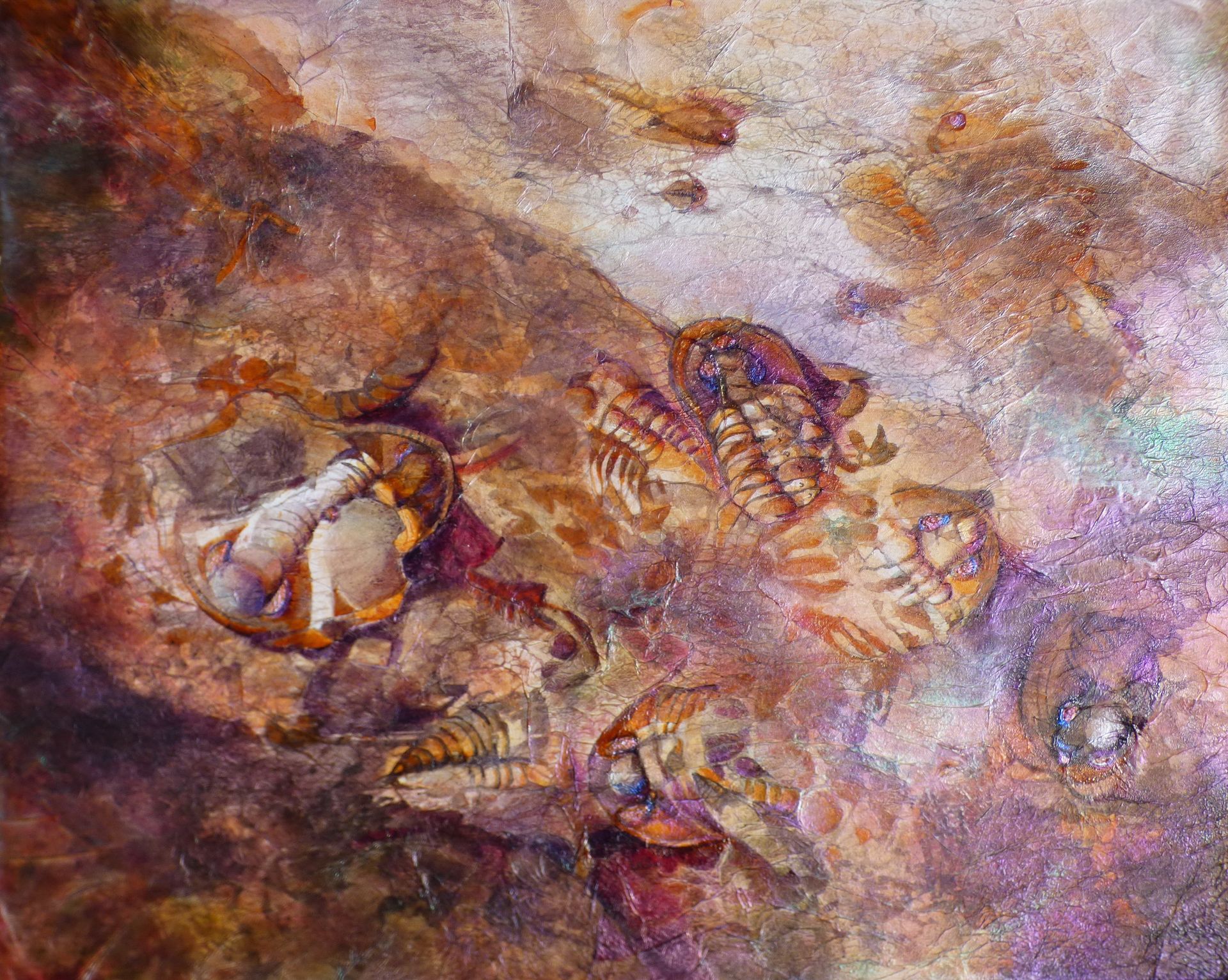 Trilobites