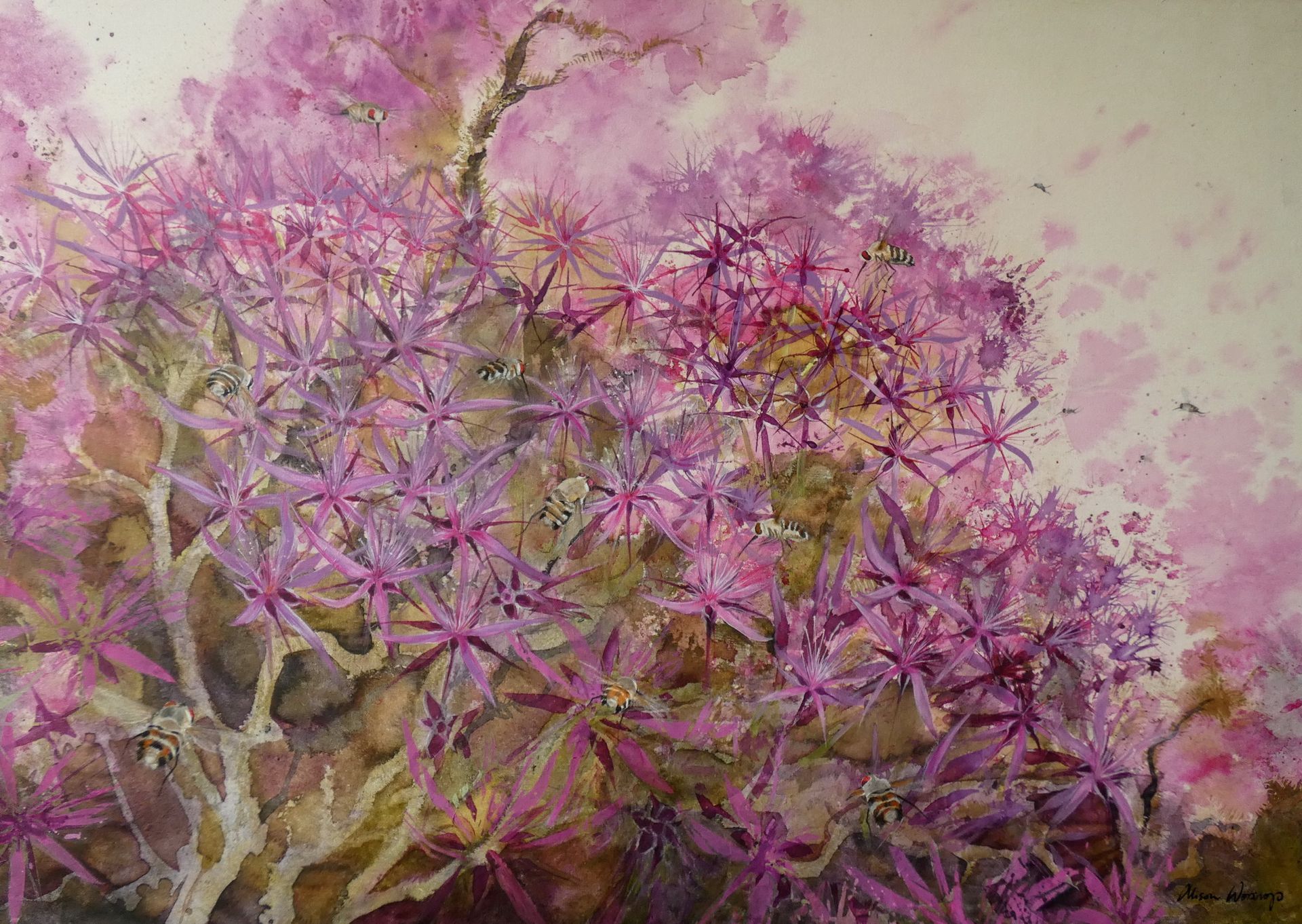 Turkey Bush & Bee-flies